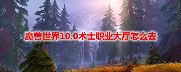 魔兽世界10.0术士职业大厅怎么去