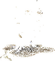 dnf2025春节光环外观