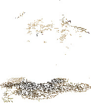 dnf2025春节光环外观