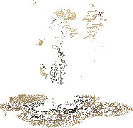 dnf2025春节光环外观