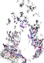 DNF暴走的欲望之力光环外观一览