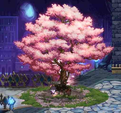 DNF与蓓娜丽一起赏花活动攻略