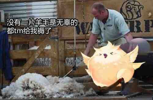 DNF帕尼柏大作战任务攻略