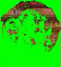 DNF协战师护盾冲击技能进化全形态一览