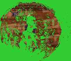 DNF协战师毁灭激光炮技能进化全形态一览