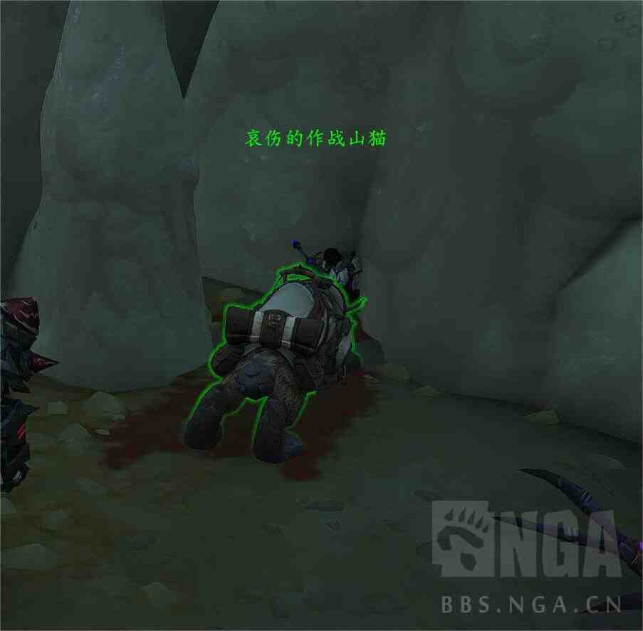 魔兽世界11.5猎人宝宝推荐