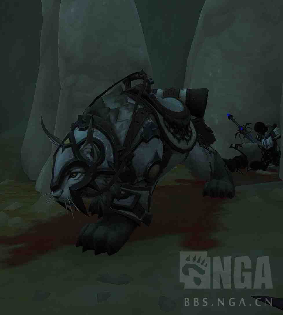 魔兽世界11.5猎人宝宝推荐