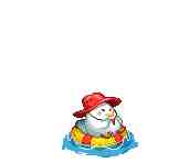 DNF2025夏日套宠物外观