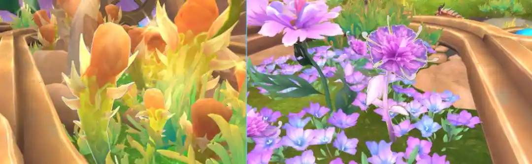 魔兽世界植学时刻任务攻略