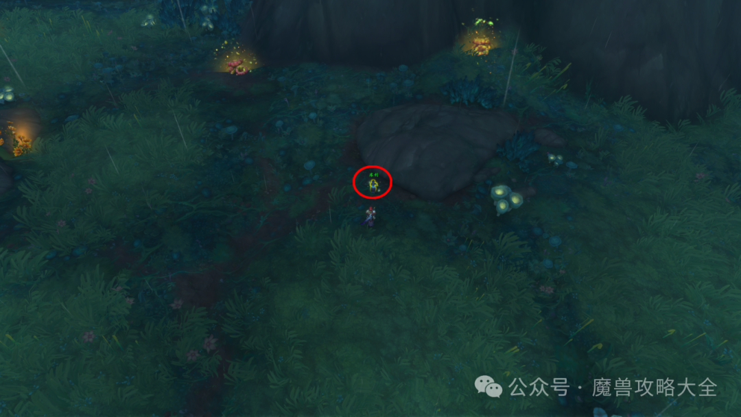 魔兽世界艾林莎兰的回响怎么获得