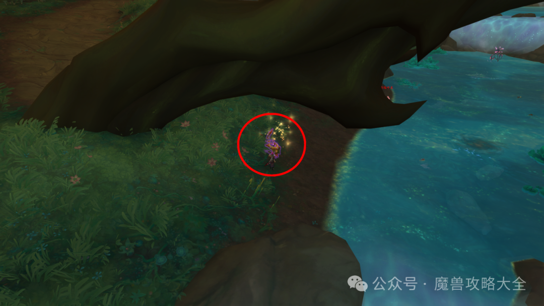 魔兽世界赤红孢子滑翔者怎么获得