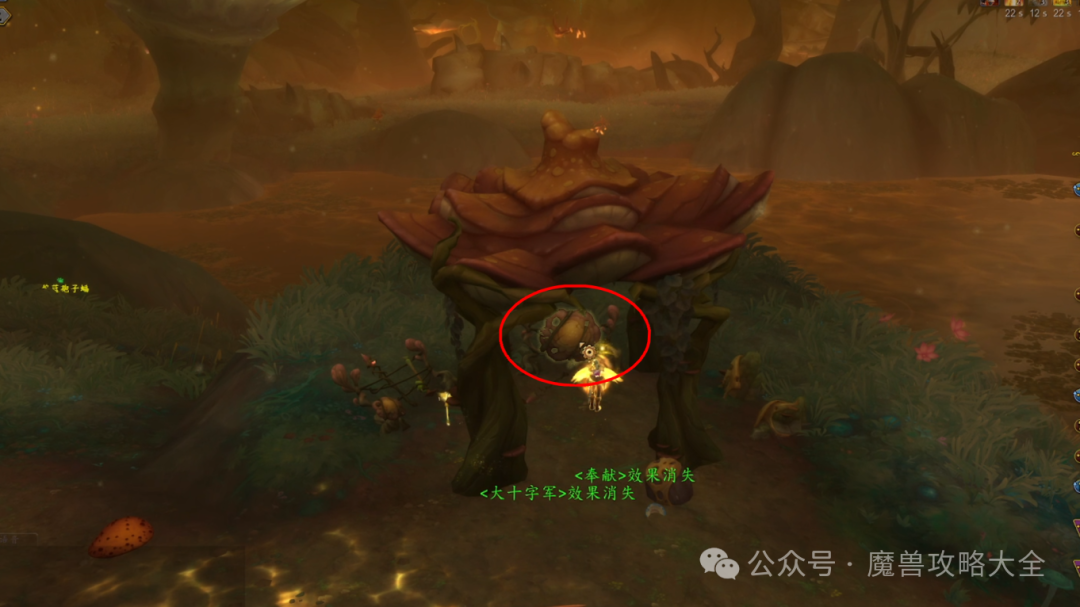 魔兽世界未被污染的林地爬行者怎么获得