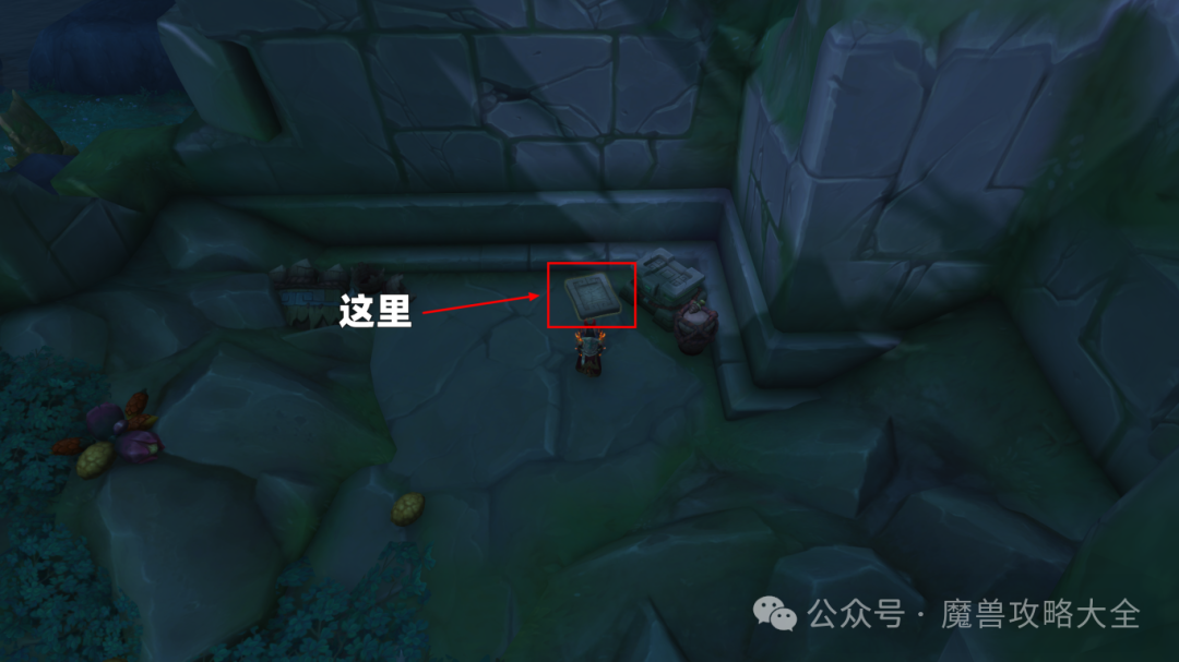 魔兽世界12.0祖阿曼区域在哪