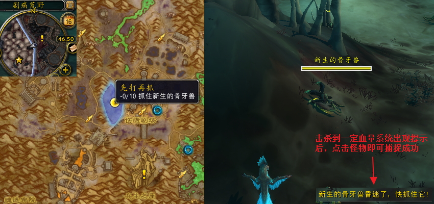 魔兽世界连消带打任务攻略