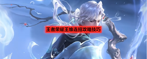 王者荣耀王维连招攻略技巧